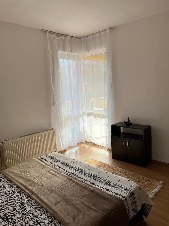 Ferienwohnung Anissia Apartament Sinaia Exterior foto